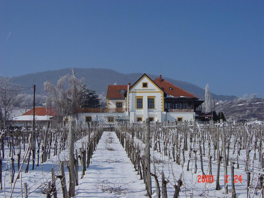 Bacchus Apartman - Borbarlang, Badacsony Бадачоньтомай Екстер'єр фото